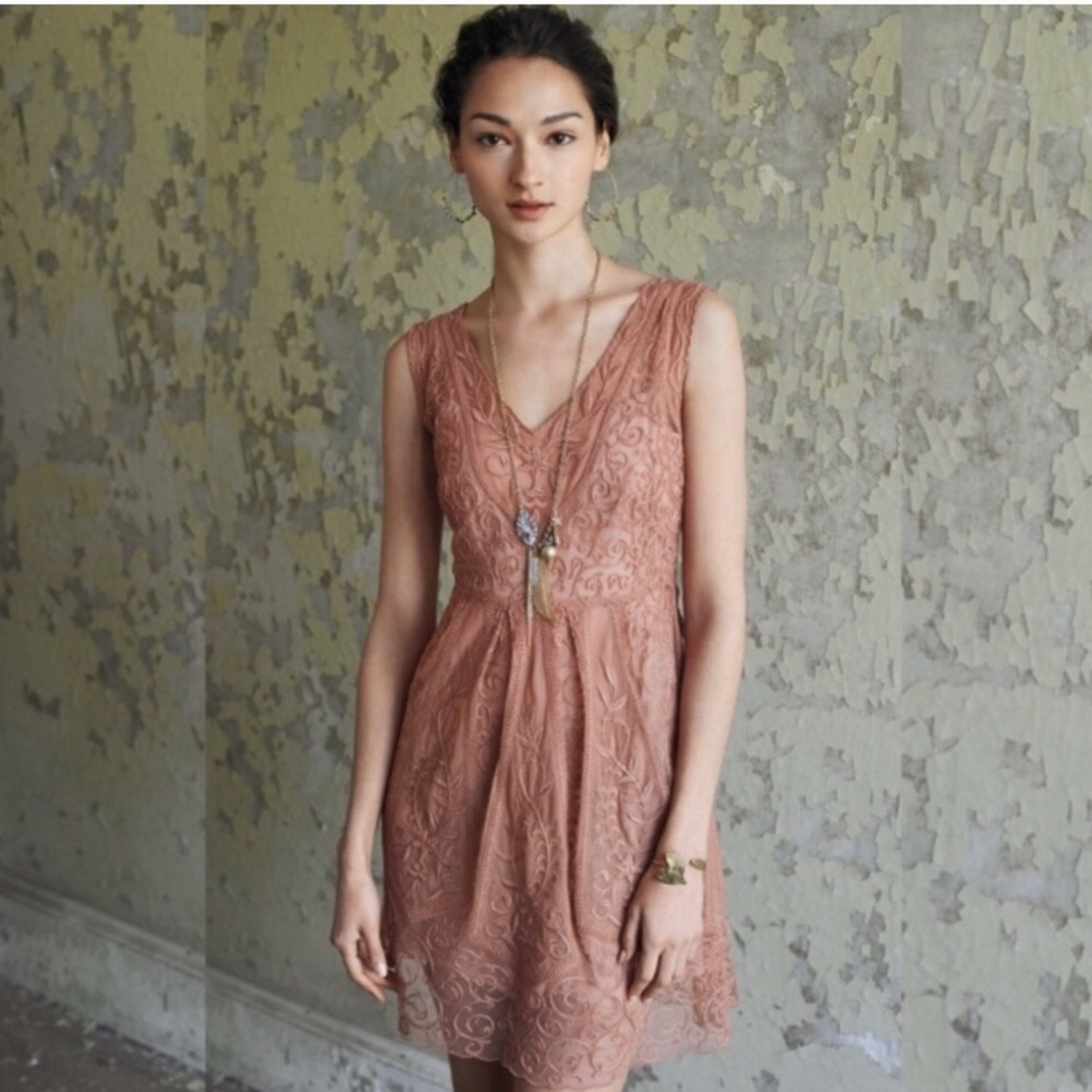 Anthropologie Baraschi blush embroidered dress 12